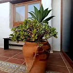 Casa Malumi - Historisches Stadthaus In Casa de Férias Haría