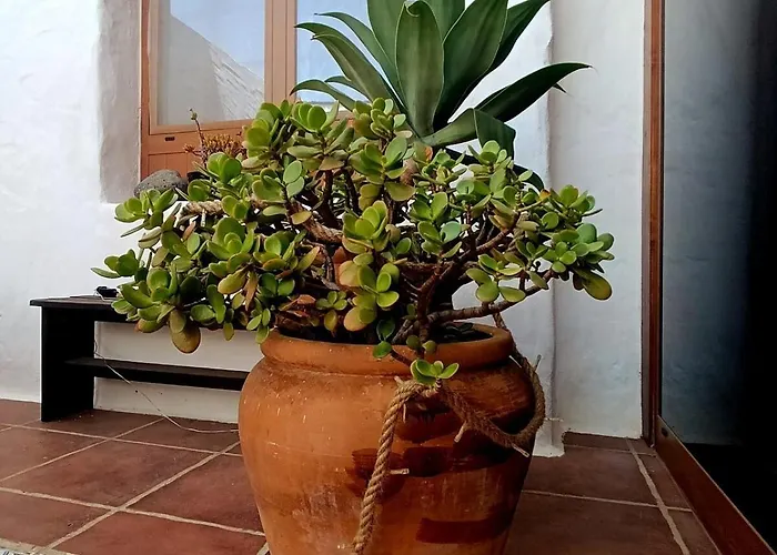 Casa Malumi - Historisches Stadthaus In Nyaraló Haría